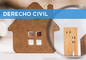 Servicios